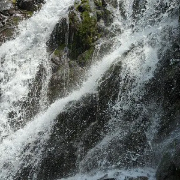 Фотография 4 - Алмарасанское ущелье и водопад Аюсай